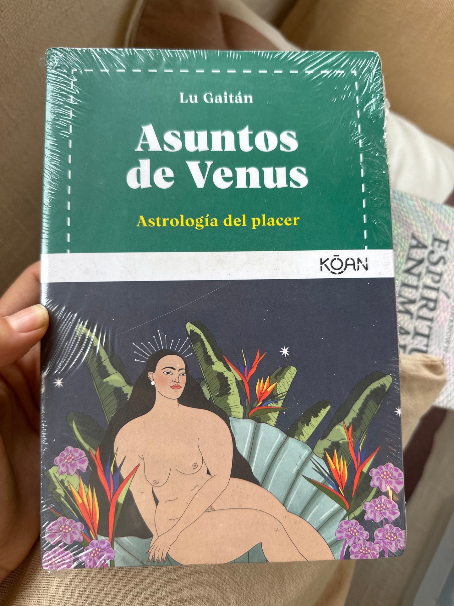 Asuntos de Venus libro