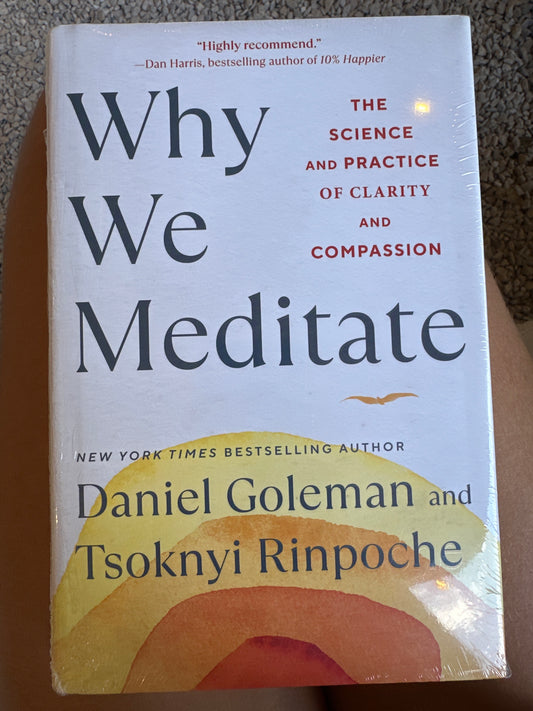 Why we meditate libro